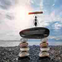 爬﻿虫﻿程‌序‌开‌发﻿